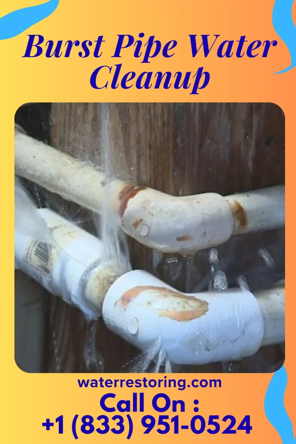 Burst Pipe Water Cleanup in Centerport, PA
