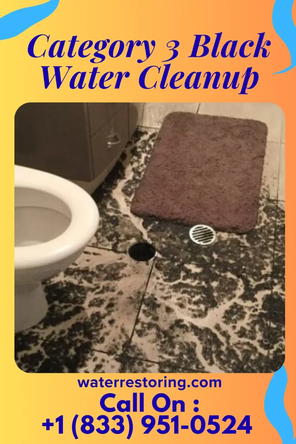 Category 3 Black Water Cleanup in Centerport, PA