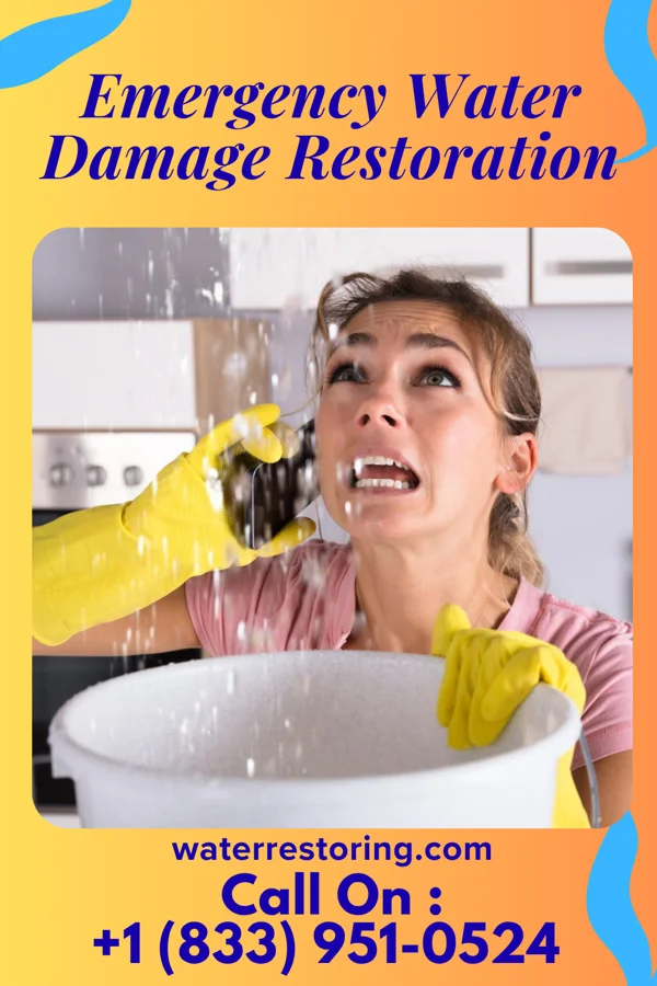 Emergency Water Damage Restoration in Centerport, PA