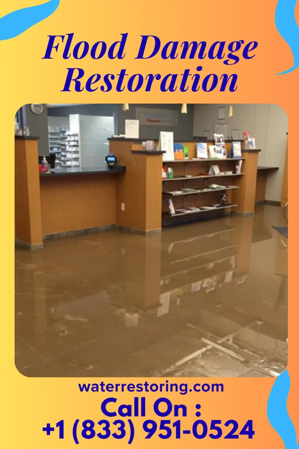 Flood Damage Restoration in Centerport, PA