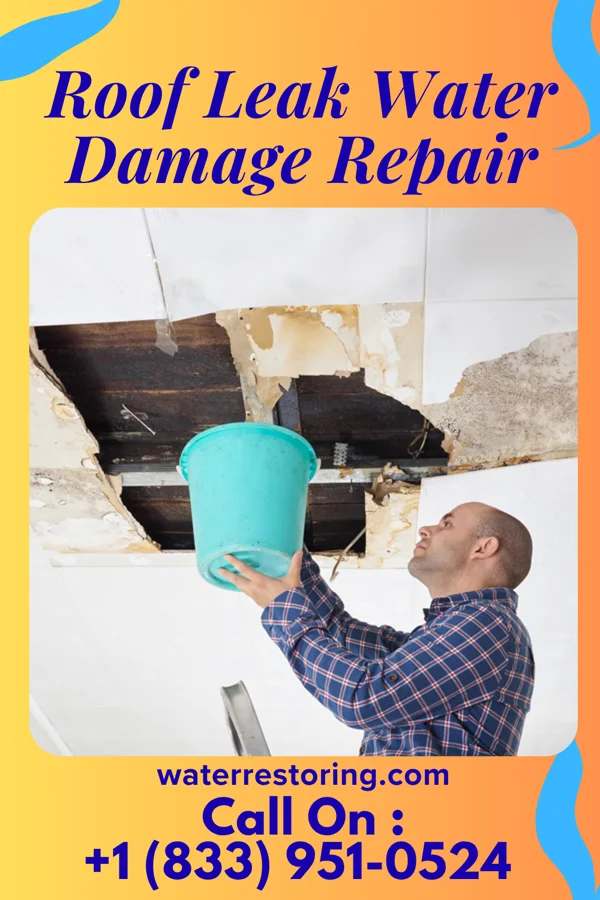 Roof Leak Water Damage Repair in Centerport, PA